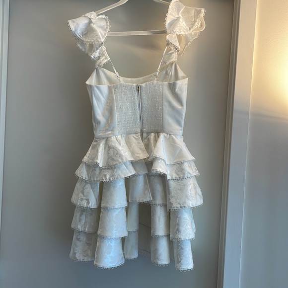 V. Chapman Patisserie dress in size 6 SOLD OUT ONLINE! - Picture 3 of 4